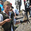 Hobro 10 : falconry